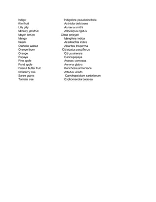 Indigo Indigofera pseudotinctoria 
Kiwi fruit Actinidia deliciosea 
Lilly pilly Acmena smithi 
Monkey jackfruit Artocarpus rigidus 
Meyer lemon Citrus xmeyeri 
Mango Mangifera indica 
Neem Azadirachta indica 
Otaheite walnut Aleurites trisperma 
Orange thorn Citriobatus pauciflorus 
Orange Citrus sinensis 
Papaya Carica papaya 
Pine apple Ananas comosus 
Pond apple Annona glabra 
Peanut butter fruit Bunchosia armeniaca 
Straberry tree Arbutus unedo 
Sartre guava Calyptropsidium sartorianum 
Tomato tree Cyphomandra batacea 
