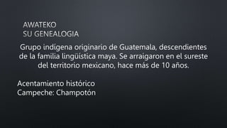 Grupo indígena originario de Guatemala, descendientes
de la familia lingüística maya. Se arraigaron en el sureste
del territorio mexicano, hace más de 10 años.
Acentamiento histórico
Campeche: Champotón
 