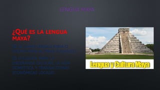 LENGUA MAYA
¿QUÉ ES LA LENGUA
MAYA?
SE LE LLAMA LENGUA MAYA O
IDIOMA MAYA AL MAYA YUCATECO.
ES UTILIZADA PARA LA
ENSEÑANZA ESCOLAR, LA VIDA
DOMESTICA Y TRANSACCIONES
ECONÓMICAS LOCALES.
 