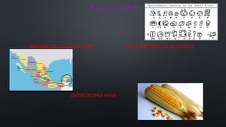 LENGUA MAYA
HISTORIA DE LA LENGUA MAYA. CARACTERISTICAS DE LA LENGUA.
GASTRONOMIA MAYA
 