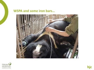 WSPA and some iron bars…
 