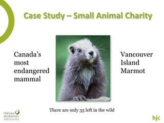 Case Study – Small Animal Charity



Canada’s                                      Vancouver
most                                          Island
endangered                                    Marmot
mammal



         There are only 35 left in the wild
 