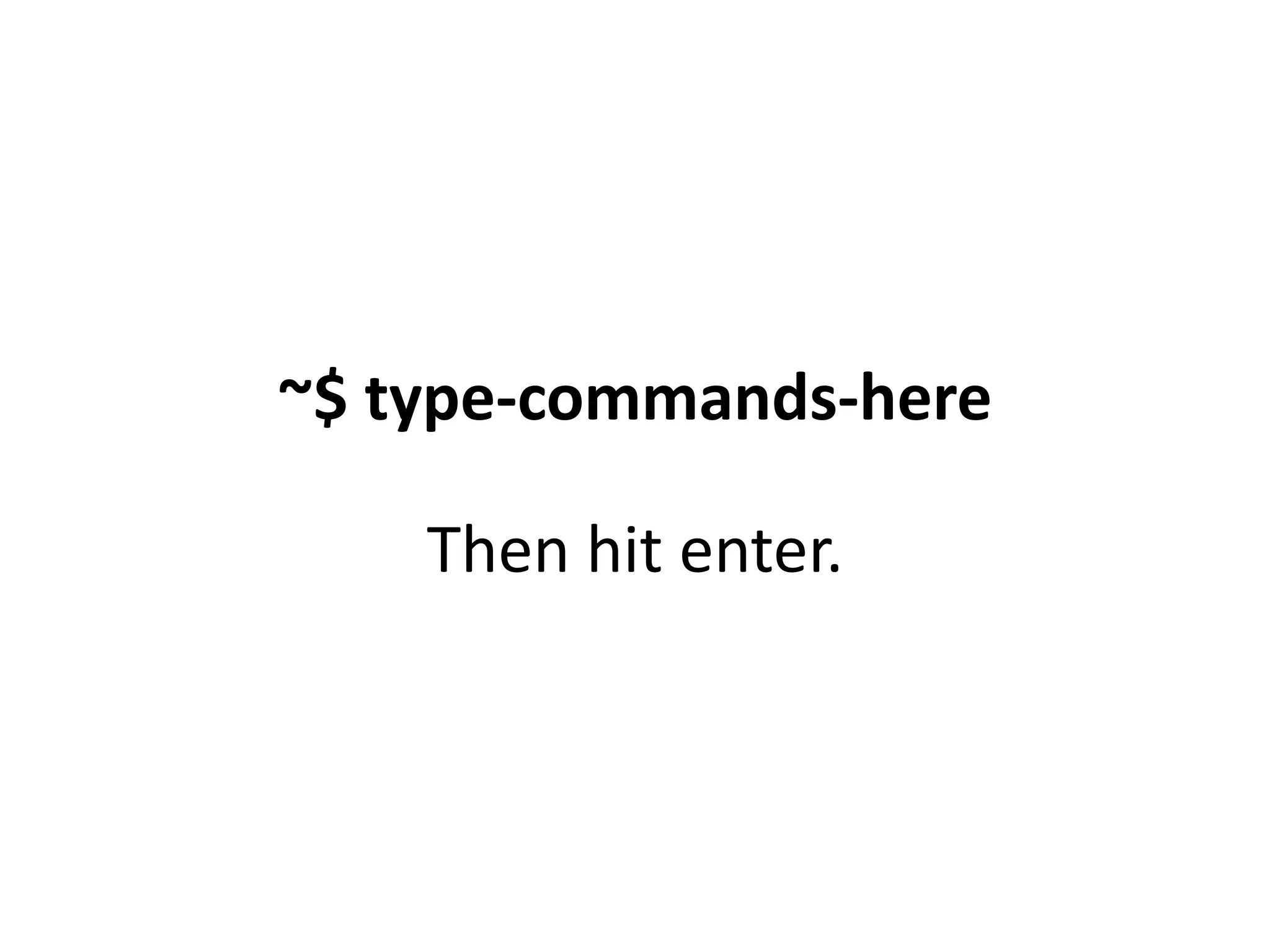 ~$ type-commands-here Then hit enter. 