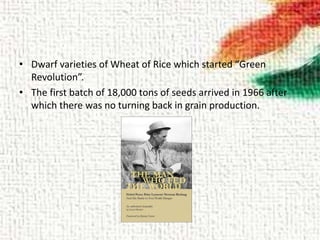 • Dwarf varieties of Wheat of Rice which started “Green
Revolution”.
• The first batch of 18,000 tons of seeds arrived in 1966 after
which there was no turning back in grain production.
 