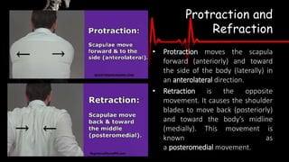 01-THE-HUMAN-BODYpptx.pptx