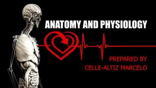 ANATOMY AND PHYSIOLOGY
PREPARED BY
CELLE-ALTIZ MARCELO
 