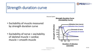 Comprehensive Overview of Skeletal Muscle Properties and Physiology | PDF