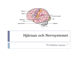 Hjärnan och Nervsystemet

            ”Vi behöver styras…”
 