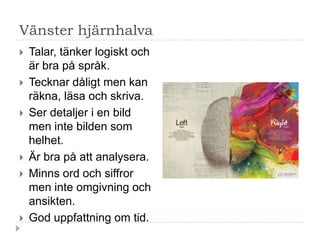 Vänster hjärnhalva
   Talar, tänker logiskt och
    är bra på språk.
   Tecknar dåligt men kan
    räkna, läsa och skriva.
   Ser detaljer i en bild
    men inte bilden som
    helhet.
   Är bra på att analysera.
   Minns ord och siffror
    men inte omgivning och
    ansikten.
   God uppfattning om tid.
 