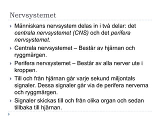 Nervsystemet
   Människans nervsystem delas in i två delar: det
    centrala nervsystemet (CNS) och det perifera
    nervsystemet.
   Centrala nervsystemet – Består av hjärnan och
    ryggmärgen.
   Perifera nervsystemet – Består av alla nerver ute i
    kroppen.
   Till och från hjärnan går varje sekund miljontals
    signaler. Dessa signaler går via de perifera nerverna
    och ryggmärgen.
   Signaler skickas till och från olika organ och sedan
    tillbaka till hjärnan.
 