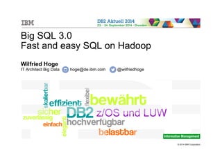 © 2014 IBM Corporation 
Big SQL 3.0 
Fast and easy SQL on Hadoop 
Wilfried Hoge 
IT Architect Big Data hoge@de.ibm.com @wilfriedhoge 
z/OS und LUW 
 
