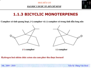 HOÁ HỮU CƠ
NK. 2009 - 2010 Tiến Sỹ Đặng Văn Hoài
ĐẠI HỌC Y DƯỢC TP. HỒ CHÍ MINH
1.1.3 BICYCLIC MONOTERPENES
Camphor có tính quang hoạt, (+) camphor và (-) camphor có trong tinh dầu long não
O O
(+) camphor
Hydrogen hoá nhóm chức ceton của cam phor thu được borneol
(-) camphor
 