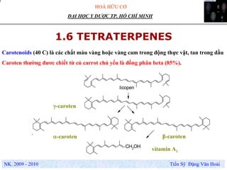HOÁ HỮU CƠ
NK. 2009 - 2010 Tiến Sỹ Đặng Văn Hoài
ĐẠI HỌC Y DƯỢC TP. HỒ CHÍ MINH
1.6 TETRATERPENES
.
Carotenoids (40 C) là các chất màu vàng hoặc vàng cam trong động thực vật, tan trong dầu
Caroten thường đươc chiết từ củ carrot chủ yếu là đồng phân beta (85%).
α-caroten
CH2OH
licopen
γ-caroten
β-caroten
vitamin A1
 
