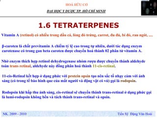 HOÁ HỮU CƠ
NK. 2009 - 2010 Tiến Sỹ Đặng Văn Hoài
ĐẠI HỌC Y DƯỢC TP. HỒ CHÍ MINH
1.6 TETRATERPENES
.Rodopsin khi hấp thu ánh sáng, cis-retinal sẽ chuyển thành trans-retinal ở dạng phức gọi
là lumi-rodopsin không bền và tách thành trans-retinal và opsin.
Vitamin A (retinol) có nhiều trong dầu cá, lòng đỏ trứng, carrot, đu đủ, bí đỏ, rau ngót, ....
β-caroten là chất previtamin A chiếm tỷ lệ cao trong tự nhiên, dưới tác dụng enzym
carotenase có trong gan beta caroten được chuyển hoá thành 02 phân tử vitamin A.
Nhờ enzym thích hợp retinol dehydrogenase nhóm rượu được chuyển thành aldehyde
toàn trans retinal, aldehyde này đồng phân hoá thành 11-cis-retinal.
11-cis-Retinal kết hợp ở dạng phức với protein opsin tạo nên sắc tố nhạy cảm với ánh
sáng (có trong tế bào hình que của mắt người và động vật có vú) gọi là rodopsin.
 