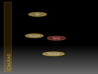 IRA




Pre-renal
                Renal




            Post-renal
 