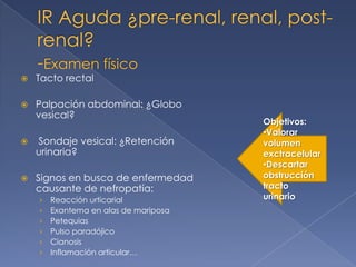    Tacto rectal

   Palpación abdominal: ¿Globo
    vesical?
                                       Objetivos:
                                       •Valorar
   Sondaje vesical: ¿Retención        volumen
    urinaria?                          exctracelular
                                       •Descartar
   Signos en busca de enfermedad      obstrucción
    causante de nefropatía:            tracto
    ›   Reacción urticarial            urinario
    ›   Exantema en alas de mariposa
    ›   Petequias
    ›   Pulso paradójico
    ›   Cianosis
    ›   Inflamación articular…
 