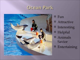 Fun Attractive Interesting Helpful Animals Savior Entertaining 