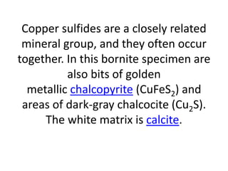 Copper sulfides are a closely related
mineral group, and they often occur
together. In this bornite specimen are
also bits of golden
metallic chalcopyrite (CuFeS2) and
areas of dark-gray chalcocite (Cu2S).
The white matrix is calcite.
 