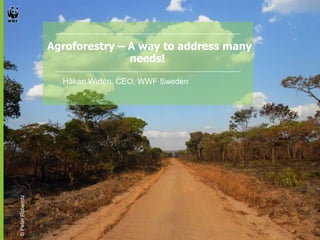 Agroforestry – A way to address many 
needs! 
Håkan Wirtén, CEO, WWF Sweden 
© Peter Roberntz 
 