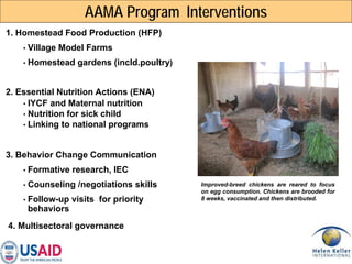 Enhanced Homestead Food Production (E-HFP) to improve household food security and nutrition