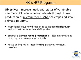 Enhanced Homestead Food Production (E-HFP) to improve household food security and nutrition