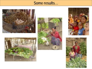 Enhanced Homestead Food Production (E-HFP) to improve household food security and nutrition