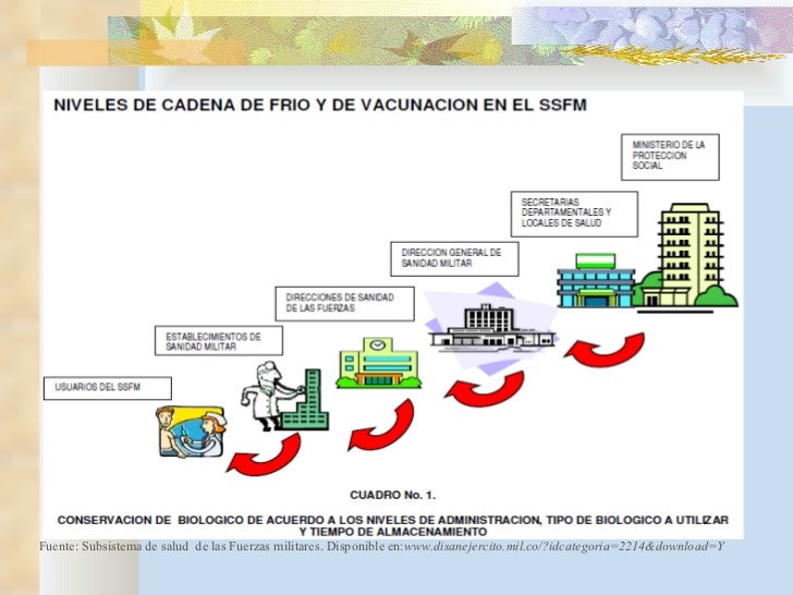 Cadena De Frio