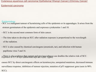Cutaneous squamous cell carcinoma/ Epithelioma/ Khangri Cancer) (Chimney Cancer/
Epidermoid carcinoma
• SCC is a malignant tumour of keratinising cells of the epidermis or its appendages. It arises from the
stratum germinatum of the epidermis and expresses cytokeratins 1 and 10.
Epidemiology
• SCC is the second most common form of skin cancer.
• The time taken to develop an SCC after radiation exposure is proportional to the wavelength
of the radiation.
• SCC is also caused by chemical carcinogens (arsenicals, tar), and infection with human
papilloma virus 5 and 16.
• There is also evidence that current and previous tobacco use doubles the relative risk of SCC.Exposure to UV B rays (ultraviolet rays are A,B,C types)
causes SCC by direct carcinogenic effects on keratinocytes, unrepaired mutations, decreased immune
surveillance response, inhibition of tumour rejection, mutation of p53 suppressor gene (seen in 90%
SCC).
 