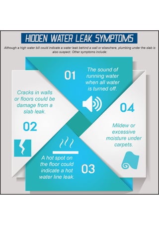 Hidden Water Leak Symptoms