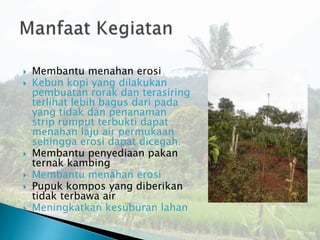 Pengembangan Rorak Meningkatkan Produksi Kopi CBO Wana Lestari, Sub-DAS ...
