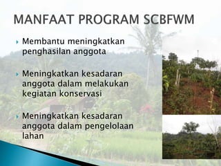 Pengembangan Rorak Meningkatkan Produksi Kopi CBO Wana Lestari, Sub-DAS ...