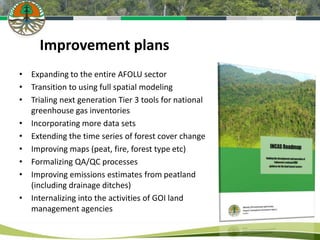 Keeping track of forests: systems for measurement, reporting and verification (MRV) - Experience from the Indonesian National Carbon Accounting System