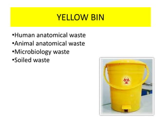 YELLOW BIN
•Human anatomical waste
•Animal anatomical waste
•Microbiology waste
•Soiled waste
 