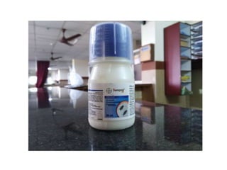 House keeping department