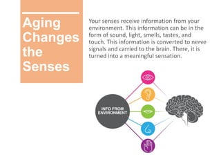 Aging
Changes
the
Senses
Your senses receive information from your
environment. This information can be in the
form of sound, light, smells, tastes, and
touch. This information is converted to nerve
signals and carried to the brain. There, it is
turned into a meaningful sensation.
 