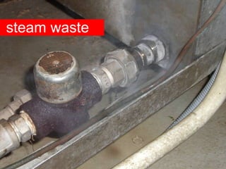 steam waste 