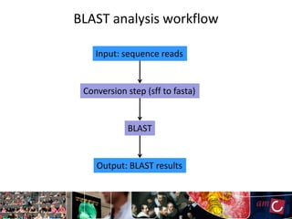 BLAST analysis workflow

    Input: sequence reads


 Conversion step (sff to fasta)


            BLAST


    Output: BLAST results
 