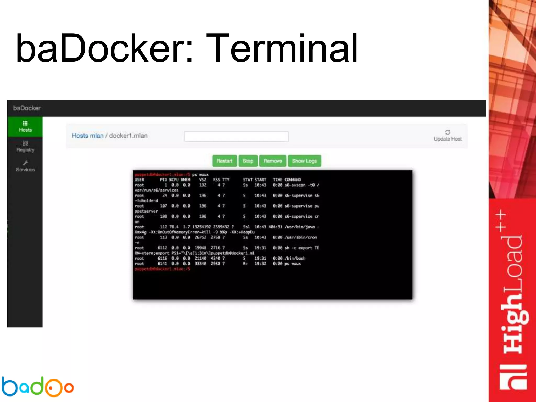 baDocker: Terminal
 