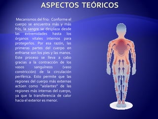 Mecanismos del frio: Conforme el
cuerpo se encuentra más y más
frío, la sangre se desplaza desde
las extremidades hasta los
órganos vitales internos para
protegerlos. Por esa razón, las
primeras partes del cuerpo en
enfriarse son los pies y las manos.
Este proceso se lleva a cabo
gracias a la contracción de los
vasos sanguíneos (vaso
constricción) de la circulación
periférica. Esto permite que las
regiones del cuerpo más externas
actúen como “aislantes” de las
regiones más internas del cuerpo,
ya que la transferencia de calor
hacia el exterior es menor.
 