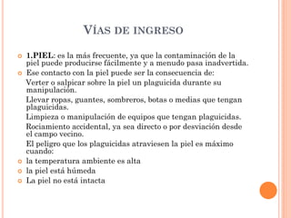 VÍAS DE INGRESO
 1.PIEL: es la más frecuente, ya que la contaminación de la
piel puede producirse fácilmente y a menudo pasa inadvertida.
 Ese contacto con la piel puede ser la consecuencia de:
Verter o salpicar sobre la piel un plaguicida durante su
manipulación.
Llevar ropas, guantes, sombreros, botas o medias que tengan
plaguicidas.
Limpieza o manipulación de equipos que tengan plaguicidas.
Rociamiento accidental, ya sea directo o por desviación desde
el campo vecino.
El peligro que los plaguicidas atraviesen la piel es máximo
cuando:
 la temperatura ambiente es alta
 la piel está húmeda
 La piel no está intacta
 