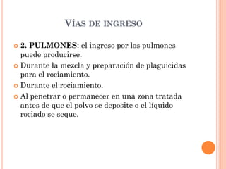 VÍAS DE INGRESO
 2. PULMONES: el ingreso por los pulmones
puede producirse:
 Durante la mezcla y preparación de plaguicidas
para el rociamiento.
 Durante el rociamiento.
 Al penetrar o permanecer en una zona tratada
antes de que el polvo se deposite o el líquido
rociado se seque.
 