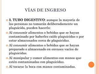 VÍAS DE INGRESO
 3. TUBO DIGESTIVO: aunque la mayoría de
las personas no tomarán deliberadamente un
plaguicida, pueden hacerlo:
 Al consumir alimentos o bebidas que se hayan
contaminado por haberles caído plaguicidas o por
estar almacenados cerca de plaguicidas.
 Al consumir alimentos o bebidas que se hayan
preparado o almacenado en envases vacíos de
plaguicidas.
 Al manipular y comer alimentos con manos que
estén contaminadas con plaguicidas.
 Al tocarse la boca con manos contaminadas.
 