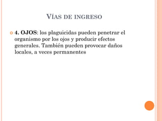 VÍAS DE INGRESO
 4. OJOS: los plaguicidas pueden penetrar el
organismo por los ojos y producir efectos
generales. También pueden provocar daños
locales, a veces permanentes
 