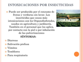 INTOXICACIONES POR INSECTICIDAS
 Puede ser producida por el consumo de
frutas y verduras sin lavar. Los
insecticidas que causa más
intoxicaciones son los Organofosforados,
usados en agricultura y jardinería.
También en el personal que los aplica,
por contacto con la piel o por inhalación
de las pulverizaciones
SÍNTOMAS:
 Diarreas
 Salivación profusa
 Vómitos
 Temblores
 Para respiratorio
 