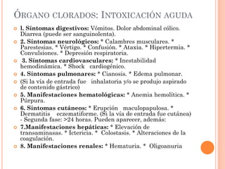 ÓRGANO CLORADOS: INTOXICACIÓN AGUDA
 l. Síntomas digestivos: Vómitos. Dolor abdominal cólico.
Diarrea (puede ser sanguinolenta).
 2. Síntomas neurológicos: * Calambres musculares. *
Parestesias. * Vértigo. * Confusión. * Ataxia. * Hipertermia. *
Convulsiones. * Depresión respiratoria.
 3. Síntomas cardiovasculares: * Inestabilidad
hemodinámica. * Shock cardiogénico.
 4. Síntomas pulmonares: * Cianosis. * Edema pulmonar.
 (Si la vía de entrada fue inhalatoria y/o se produjo aspirado
de contenido gástrico)
 5. Manifestaciones hematológicas: * Anemia hemolítica. *
Púrpura.
 6. Síntomas cutáneos: * Erupción maculopapulosa. *
Dermatitis eczematiforme. (Si la vía de entrada fue cutánea)
- Segunda fase: >24 horas. Pueden aparecer, además:
 7.Manifestaciones hepáticas: * Elevación de
transaminasas. * Ictericia. * Colostasis. * Alteraciones de la
coagulación.
 8. Manifestaciones renales: * Hematuria. * Oligoanuria
 
