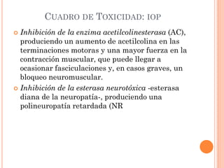 CUADRO DE TOXICIDAD: IOP
 Inhibición de la enzima acetilcolinesterasa (AC),
produciendo un aumento de acetilcolina en las
terminaciones motoras y una mayor fuerza en la
contracción muscular, que puede llegar a
ocasionar fasciculaciones y, en casos graves, un
bloqueo neuromuscular.
 Inhibición de la esterasa neurotóxica -esterasa
diana de la neuropatía-, produciendo una
polineuropatía retardada (NR
 