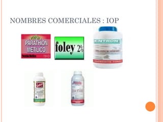 NOMBRES COMERCIALES : IOP
 