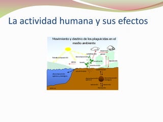 La actividad humana y sus efectos
 