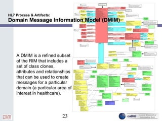 23
HL7 Process & Artifacts:
Domain Message Information Model (DMIM)
A DMIM is a refined subset
of the RIM that includes a
set of class clones,
attributes and relationships
that can be used to create
messages for a particular
domain (a particular area of
interest in healthcare).
 