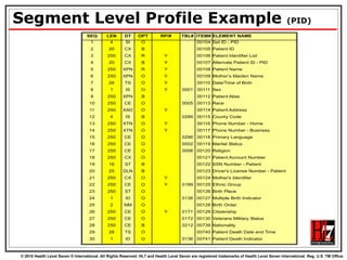 Segment Level Profile Example  (PID) 